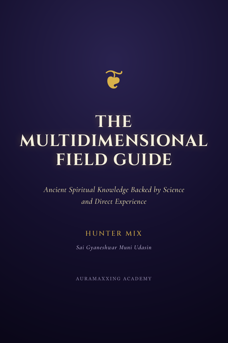 The Multidimensional Field Guide by Hunter Mix — book cover